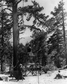william witney, herman Brix , angle gutierrez, hawk of the wilderness