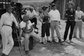 william witney, roy rogers, golden stallion